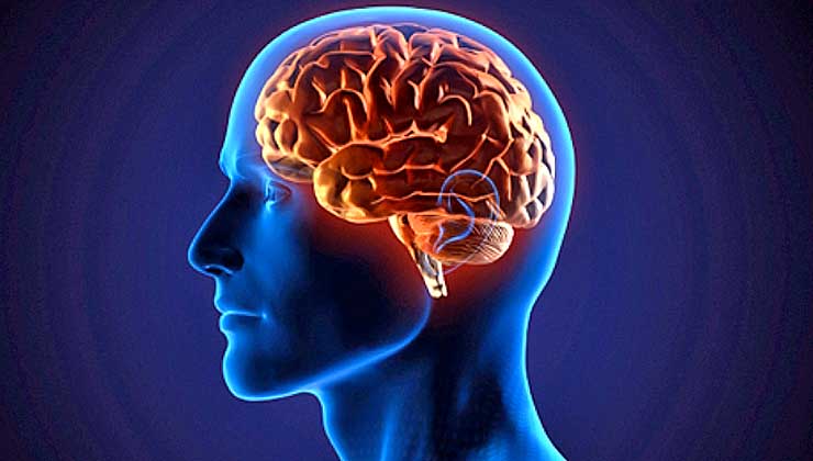 Tratamiento oportuno del IMSS reduce secuelas por embolia cerebral: Especialista