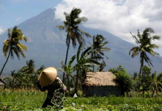 Suman 135 mil evacuados en Bali ante una inminente erupción volcánica