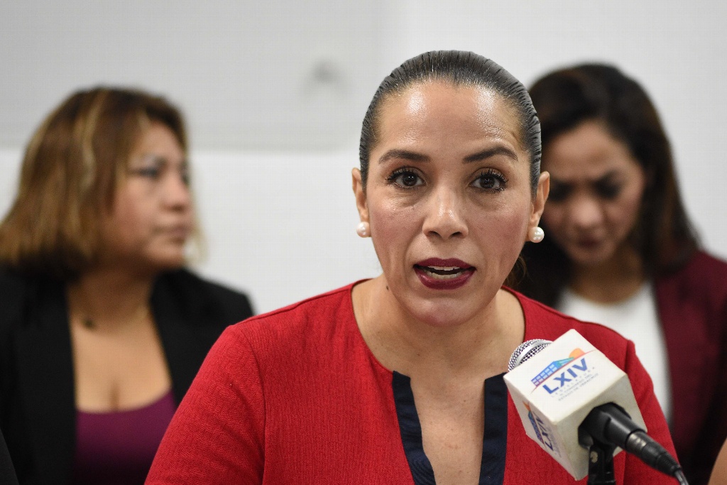 Por prisas y falta de claridad se votó en Veracruz la “Ley Antimemes”: Diputada