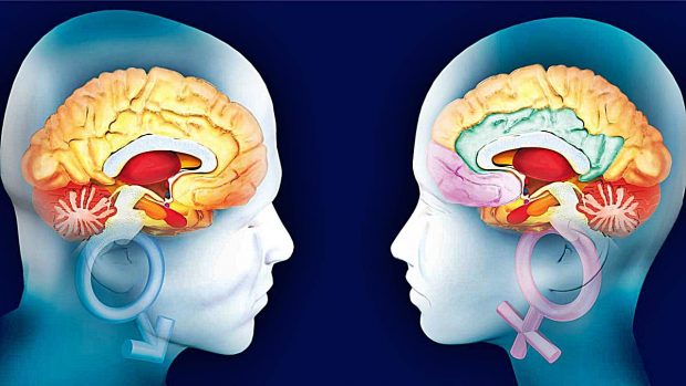 El cerebro de la mujer envejece más despacio que el del hombre