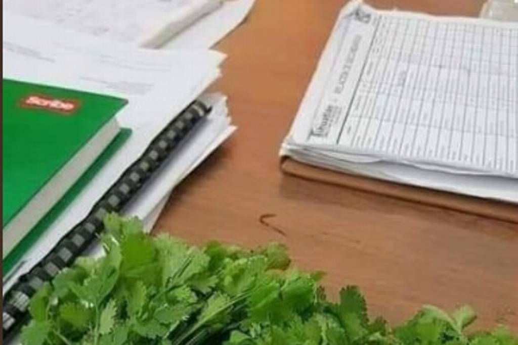 Anciano paga acta de nacimiento con tres manojos de cilantro