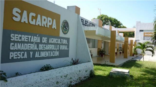 Iniciará Sagarpa pago de seguro catastrófico a productores por paso de