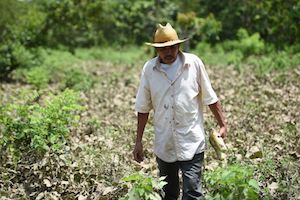Frenan apoyos a campesinos