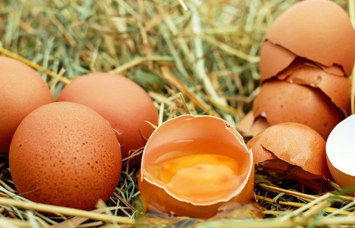 Científicos japoneses buscan producir huevos de gallina con sustancias medicinales