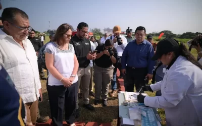Queman 366 kilos de droga en Veracruz
