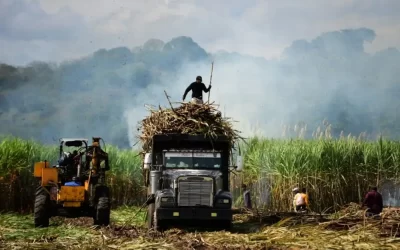 Gobierno federal impulsa proyecto de producción de etanol en Veracruz