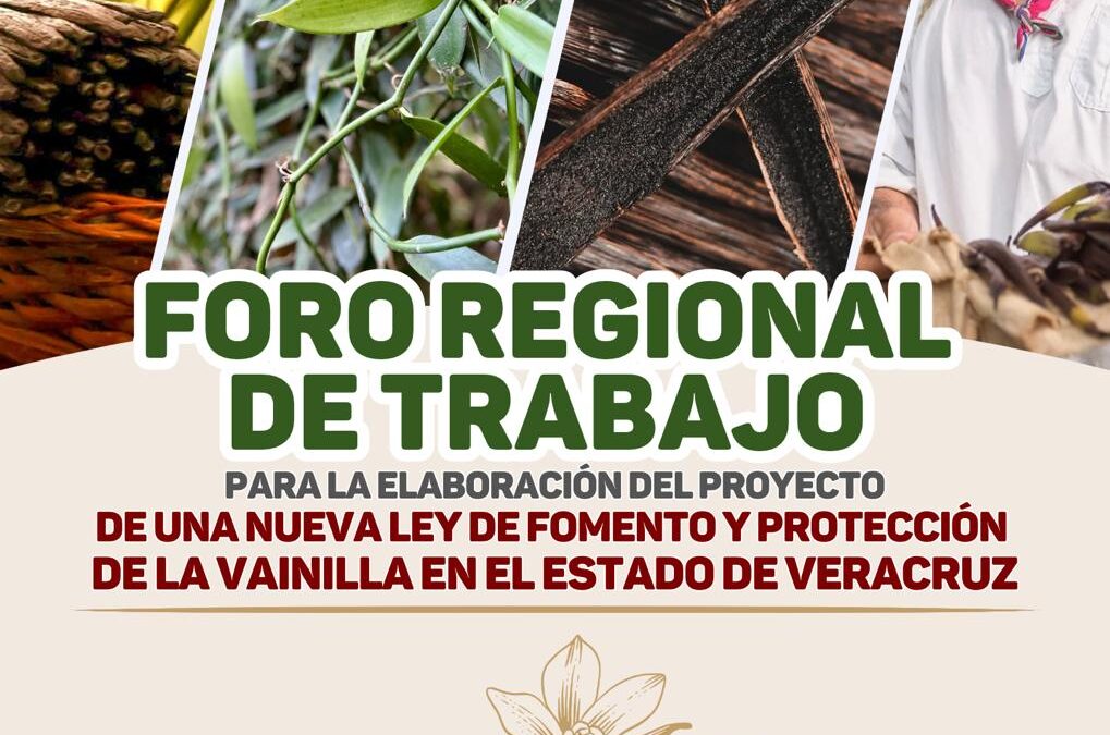 Anuncia diputada foros regionales para elaborar nueva Ley de la Vainilla