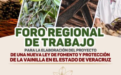 Anuncia diputada foros regionales para elaborar nueva Ley de la Vainilla