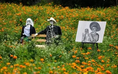 Inician los recorridos por los campos de flor de cempasúchil de San Pablo Coapan
