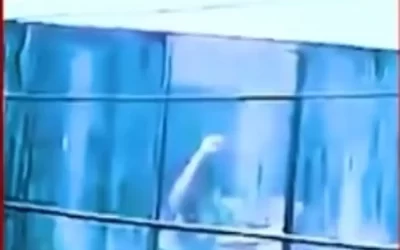 Hombre secuestra a 17 niños con casting falso para TV en India; policía lo asesina