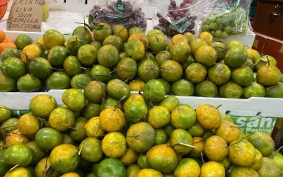 ¿Mandarina subió de precio? Esto cuesta en mercados de Veracruz