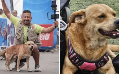 Dueño de «El Chicles», el Perro Maratonista, Entregó Restos a Fiscalía para Investigar su Muerte