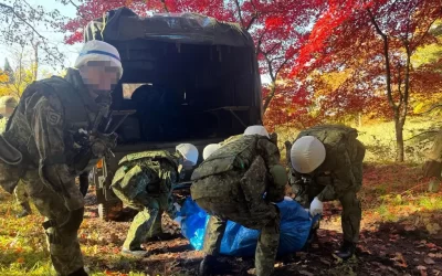 Dan luz verde para matar osos en Japón, tras oleada de ataques