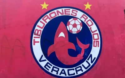 Estamos trabajando, pero es muy complicado: Rocío Nahle sobre regreso de los Tiburones Rojos