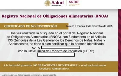 Certificado de no deudor alimentario ya es requisito para sacar la licencia de conducir en Veracruz