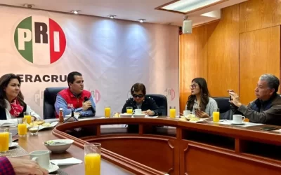 PRI exige a gobierno reforzar la seguridad en elección extraordinaria de Tamiahua