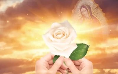La Rosa de Guadalupe cumple 19 años de transmisiones