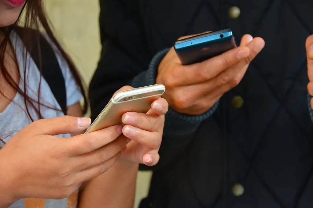 Internet ya llega a 8 de cada 10 hogares en México; estos son los estados más conectados