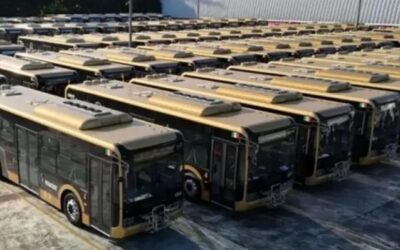 Rocío Nahle confirma expansión del transporte urbano y analiza nuevas rutas para Veracruz