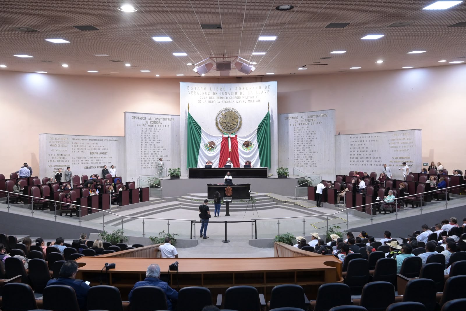 Endurece Congreso de Veracruz penas y sanciones por maltrato animal